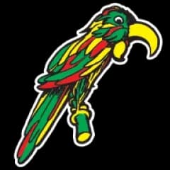Logo Brandons de Moudon