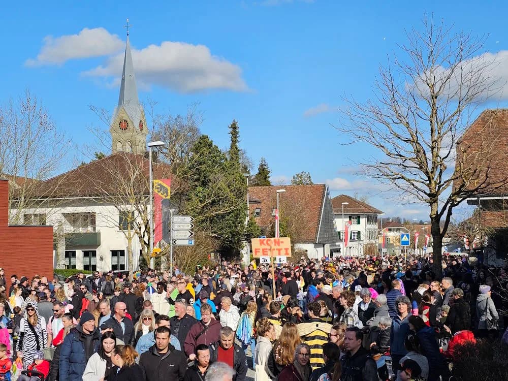 Buchsi Fasnacht – Titelbild