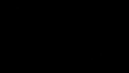 Logo Burgschränzer Honeri
